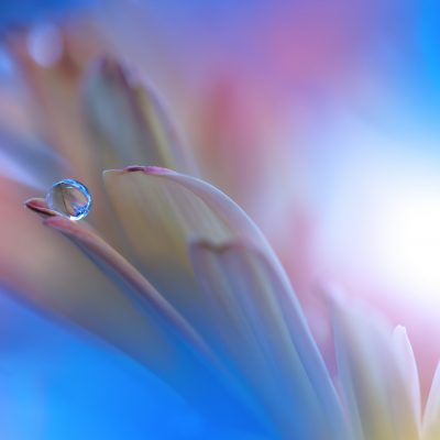 Messages from the Soul of Humanity