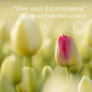Der Neue Lichtkörper - Aufbaukurse