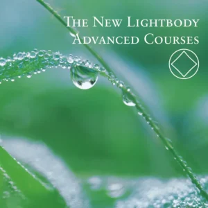 Der Neue Lichtkörper – erweiterte Techniken